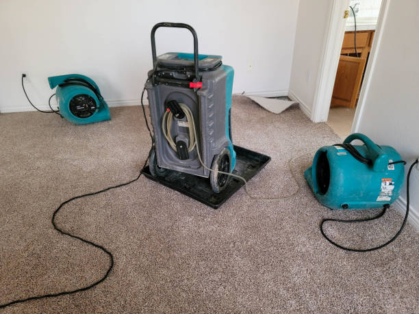 Best 24/7 water damage repair  in Rutherfordton, NC