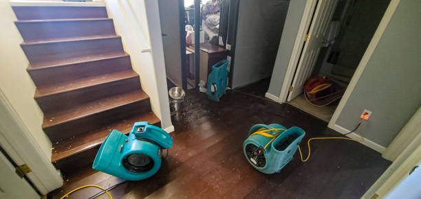 Best Water damage restoration near me  in Rutherfordton, NC