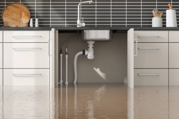 Best Water damage cleanup near me  in Rutherfordton, NC