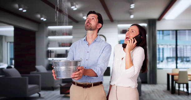 Best Carpet water damage restoration  in Rutherfordton, NC